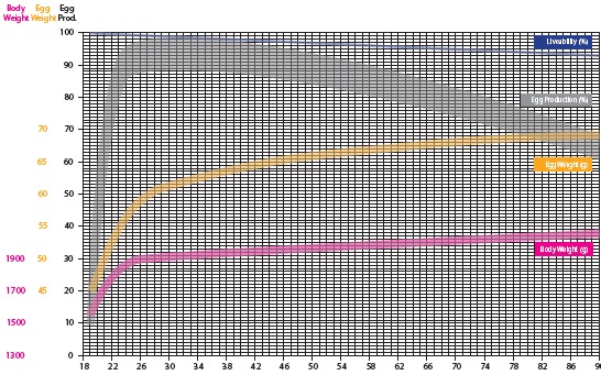 Parámetros de desarrollo y producción